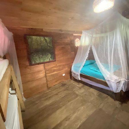 Palmario Hostal Guachaca Екстериор снимка