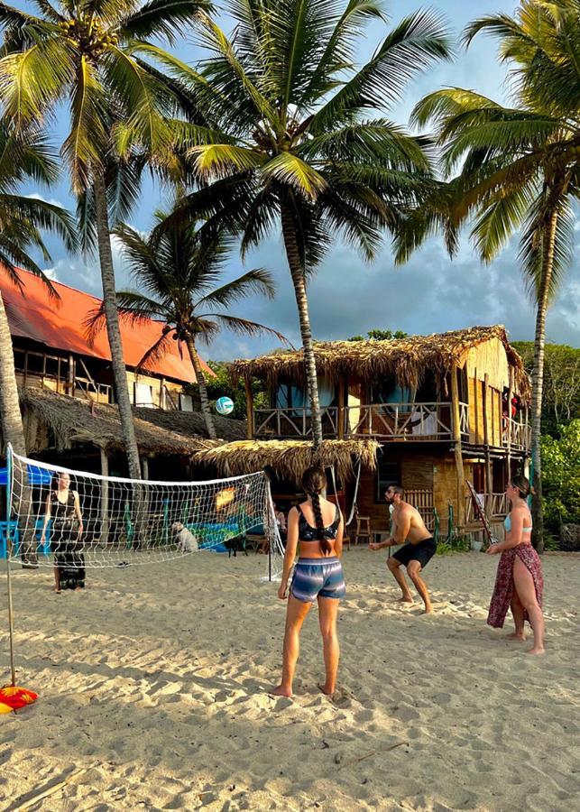 Palmario Hostal Guachaca Екстериор снимка