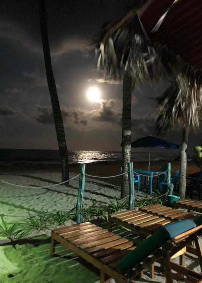 Palmario Hostal Guachaca Екстериор снимка
