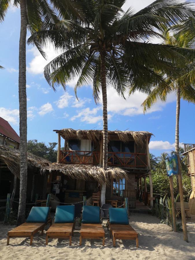Palmario Hostal Guachaca Екстериор снимка