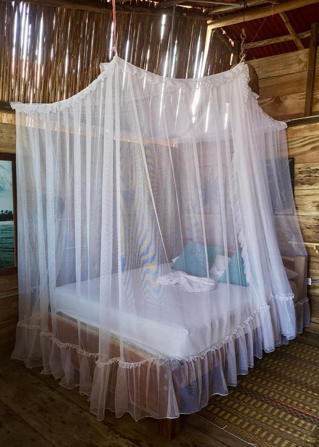 Palmario Hostal Guachaca Екстериор снимка