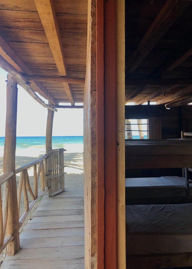 Palmario Hostal Guachaca Екстериор снимка