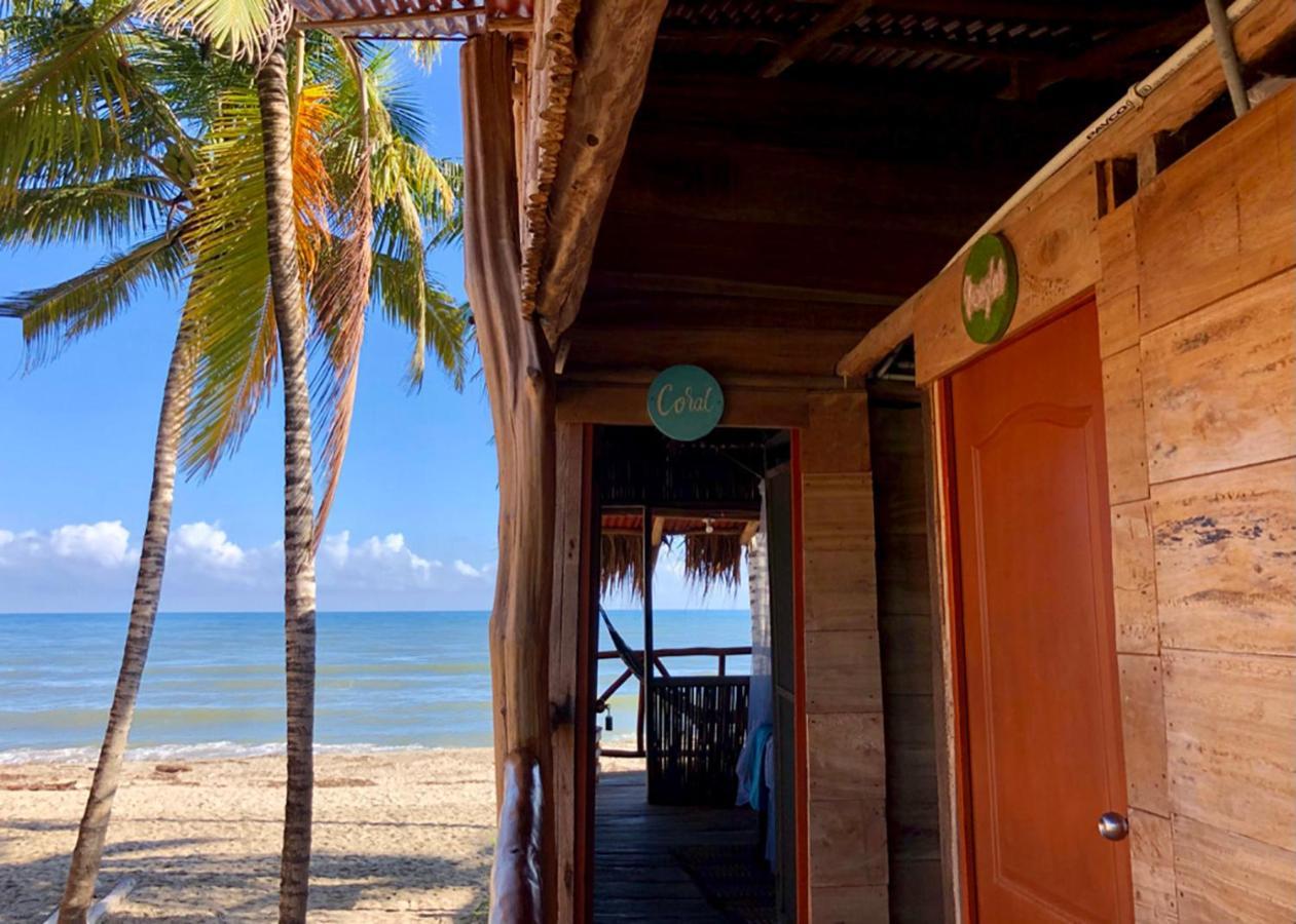 Palmario Hostal Guachaca Екстериор снимка