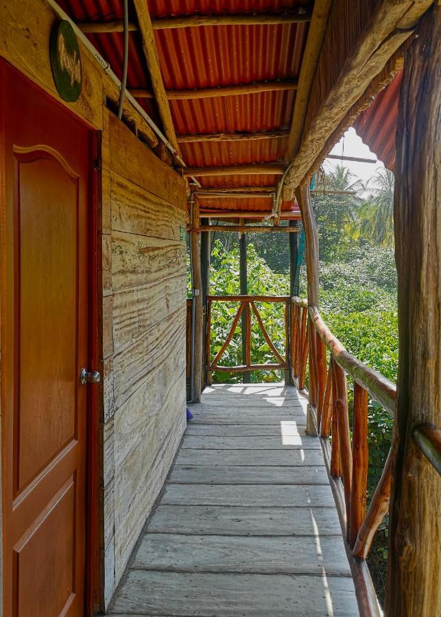 Palmario Hostal Guachaca Екстериор снимка
