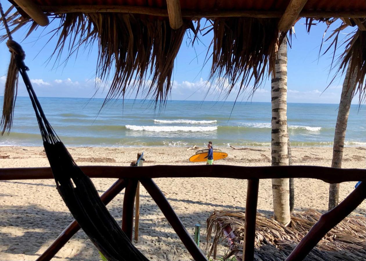 Palmario Hostal Guachaca Екстериор снимка