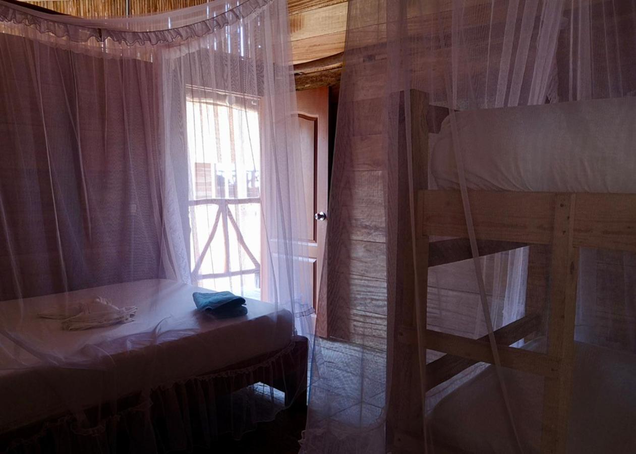 Palmario Hostal Guachaca Екстериор снимка
