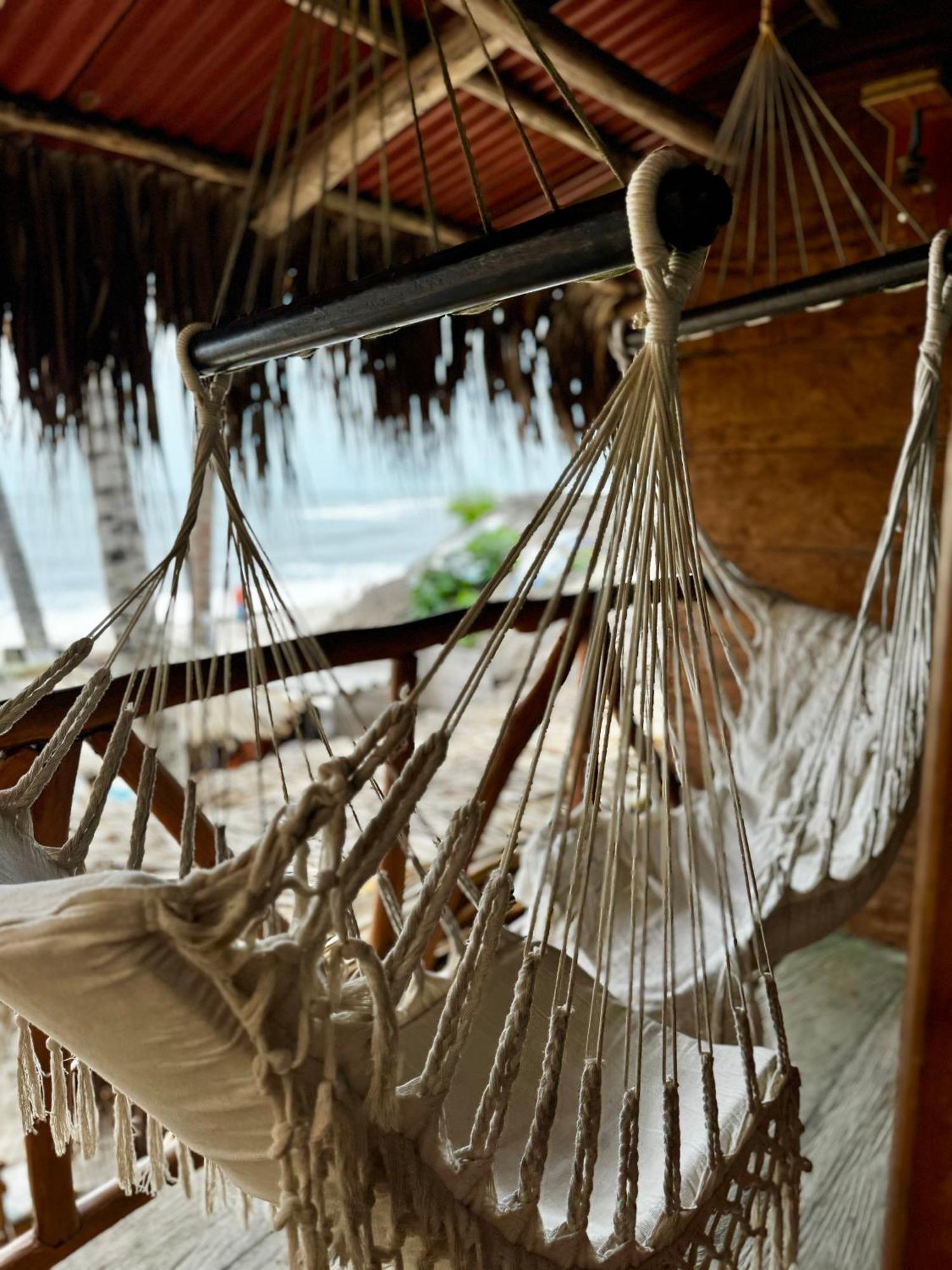 Palmario Hostal Guachaca Екстериор снимка