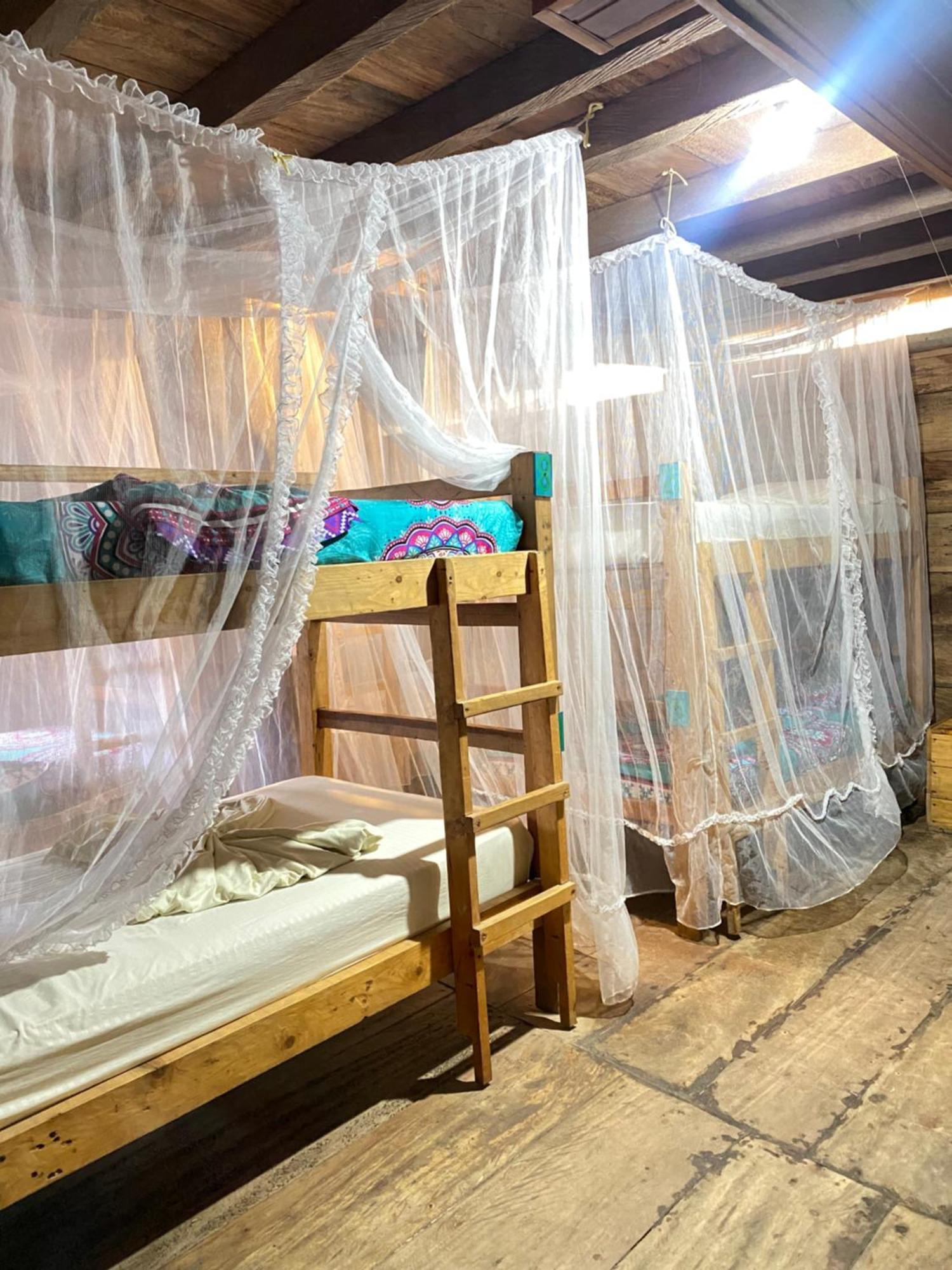 Palmario Hostal Guachaca Екстериор снимка