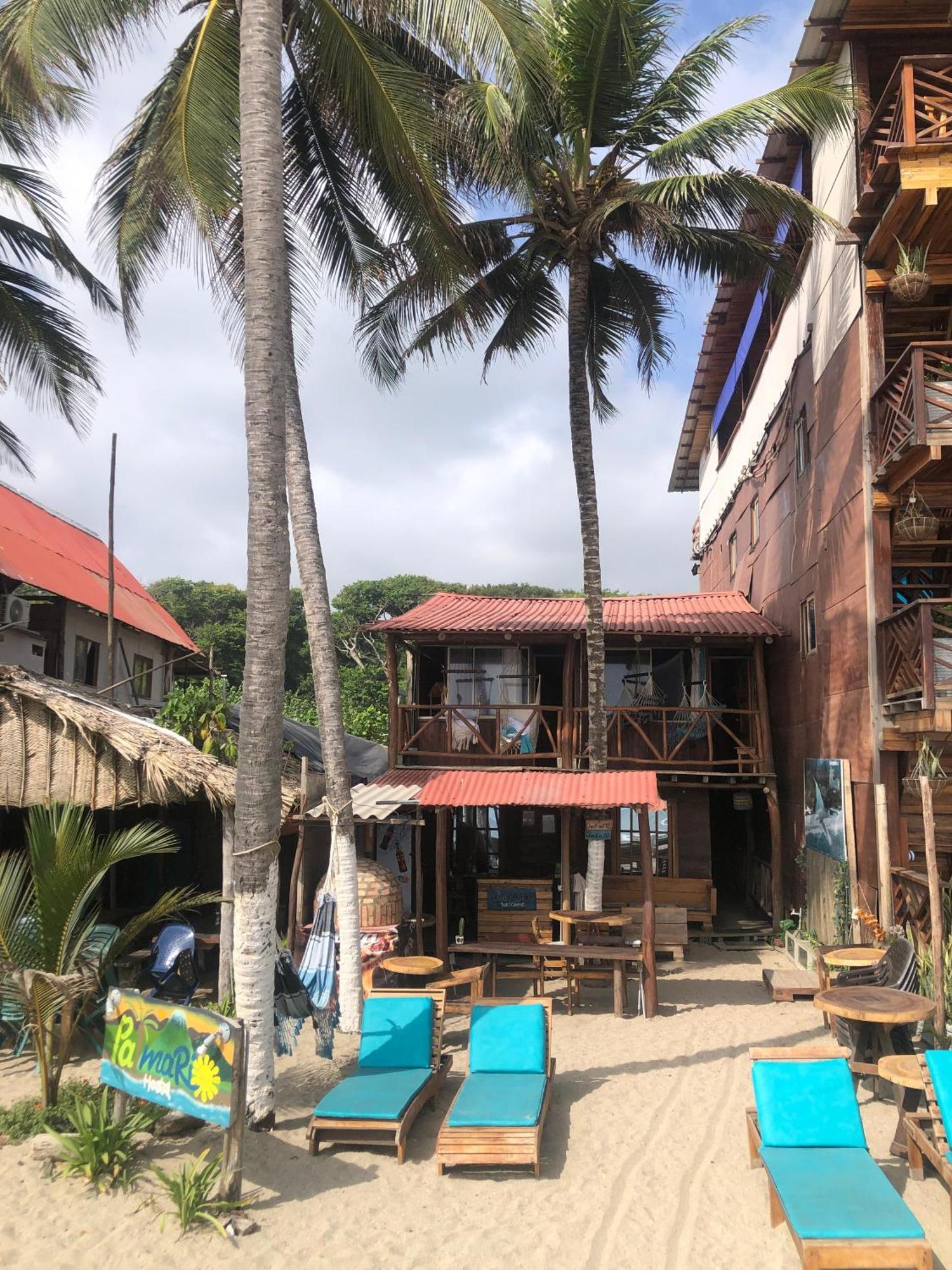 Palmario Hostal Guachaca Екстериор снимка